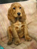 Изображение 245.webp