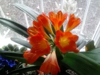 0474.webp