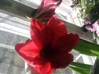 0500.webp