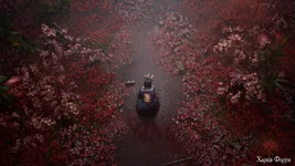 Знімок екрана (63).webp