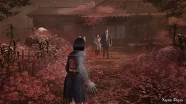 Знімок екрана (66).webp