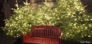 clideo_editor_d01ff66861f34ce592c0207bdffe3b71 (1).gif clideo_editor_d01ff66861f34ce592c0207bdffe3b71 (1).gif