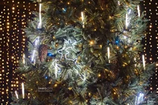 Screenshot_330.webp Screenshot_330.webp