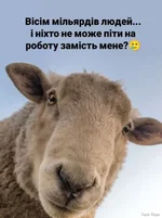 Screenshot_361.webp Screenshot_361.webp