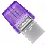 Флеш пам`ять Kingston DataTraveler microDuo 3C 256GB Type-C USB 3.2 (DTDUO3CG3/256GB) (Код товару:39906)