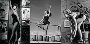 брижит бардо.webp