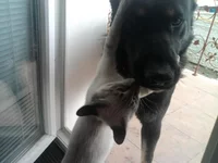 -0004.webp