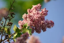 DSC03634-.webp