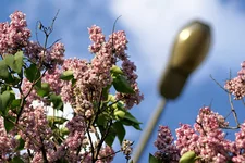 DSC03641-.webp
