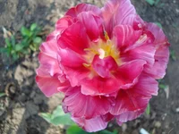 DSC06626.webp