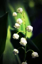 IMG_9464 копия.webp