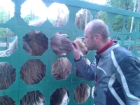 2012-05-02 19.43.23.webp