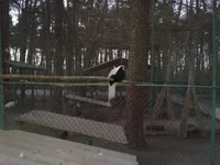 2012-05-02 20.08.59.webp