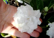 -мартовский снеговичек4.webp