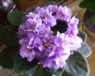 rob's dast storm2.webp