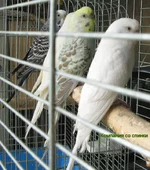 IMG_3681.webp