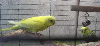 IMG_3663.jpg
