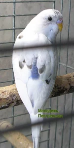 IMG_3653.webp