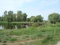 DSC02649.webp