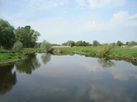 DSC02650.webp