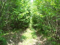 DSC02693.jpg