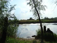 DSC02748.webp