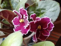  названия 2.webp