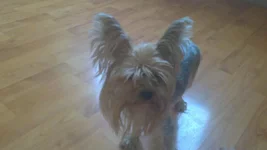 06052012248.jpg
