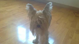 06052012249.jpg