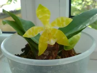 DSC03543.webp
