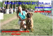 2.webp