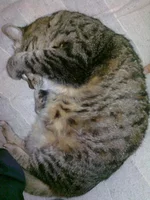 0802.webp