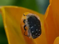 DSC00045.webp