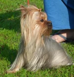 SAM_1110.jpg