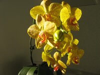 IMG_0548.jpg