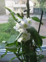 IMG_0562.webp