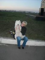 z_f38afcbb.webp