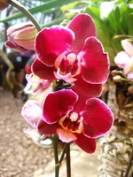 IMG_9494.webp