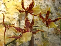 IMG_9501.webp