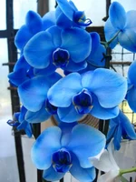 IMG_9507.webp