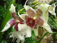 IMG_9513.JPG