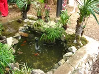 IMG_9516.webp