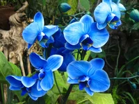 IMG_9532.webp