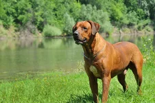 FNA_6813.webp