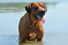 FNA_6781.webp