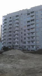 IMAG0040.webp