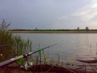 09052012008.jpg