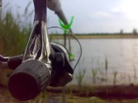 09052012009.webp