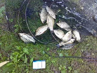 09052012011.jpg