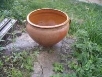 DSC00771[1].webp
